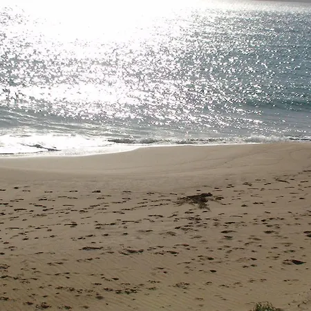 Lindia Thalassa 3* Πεύκος